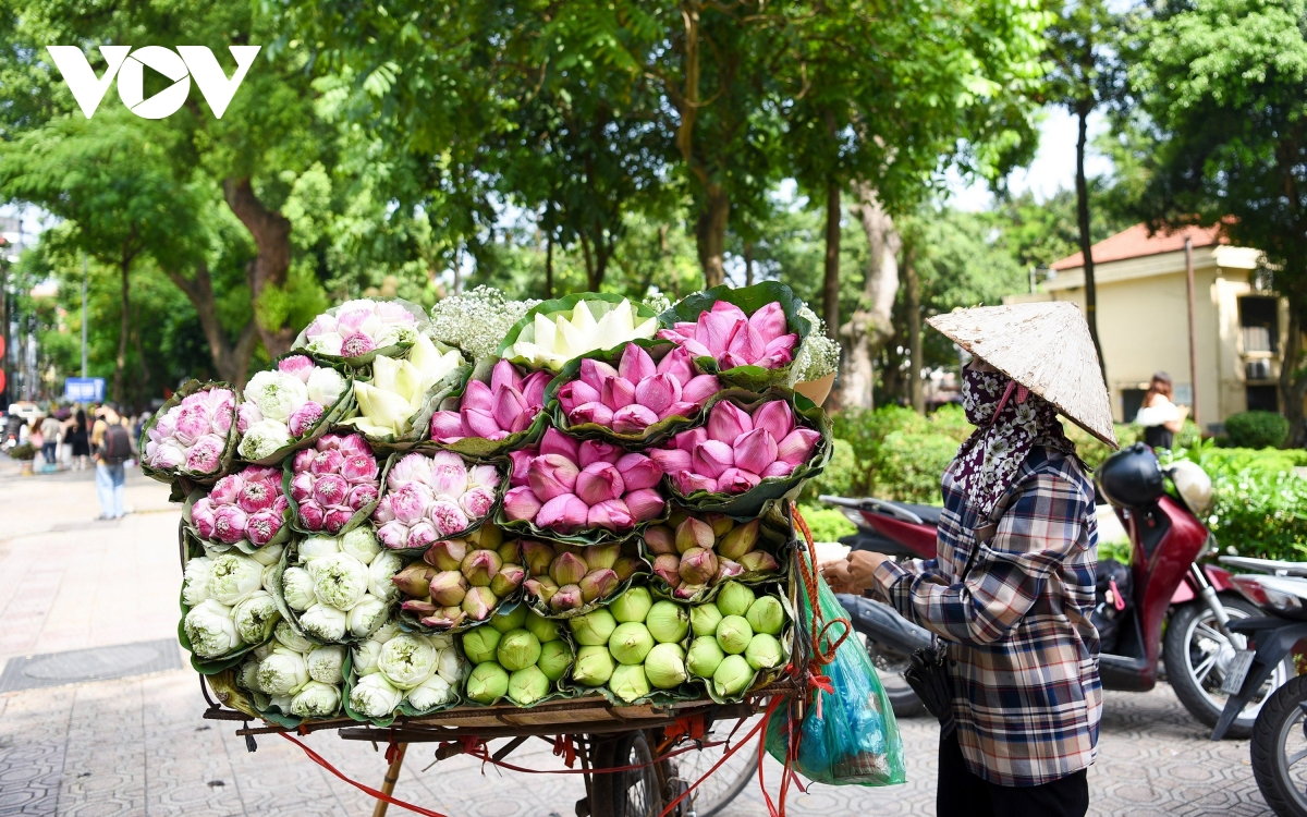 Những gánh hàng hoa “chở” Hà Nội vào Thu